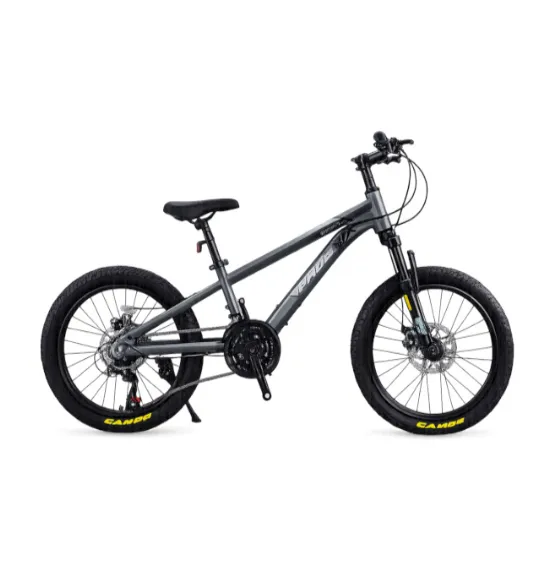 Bicicletă pentru copii cu două roți, 22 inch, gri-negru, cod 2350D
