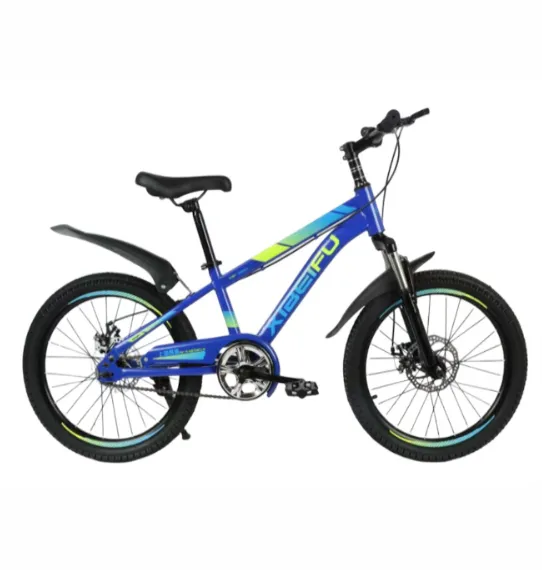 Bicicletă pentru copii cu 2 roți, 20 inch, albastră, cod 2295D