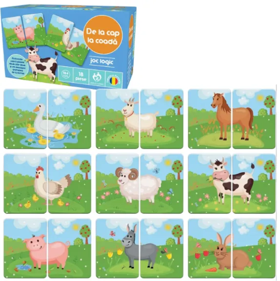 Joc de logică ”De la cap la coadă”, (ro)