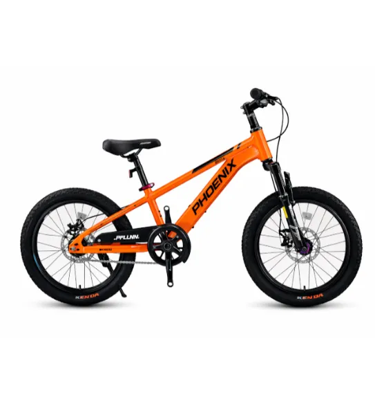 Bicicletă pentru copii cu două roți, 20 inch, portocalie, cod 2366D