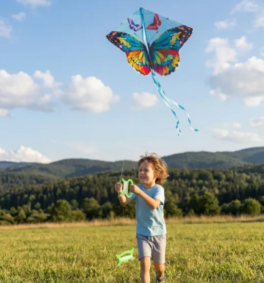 Zmeu „Fluture”, multicolor, cod 990232 Zmeu „Fluture”, multicolor, cod 990232