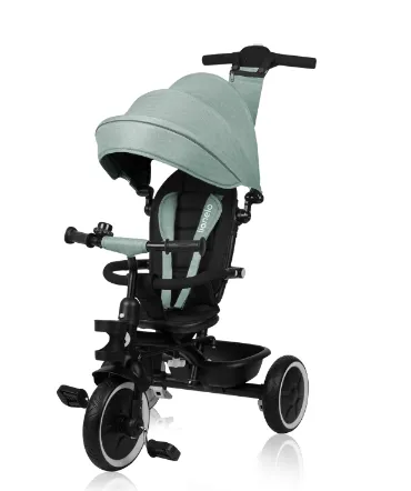 Tricicleta 2 in 1 Lionelo Berry Green Forest