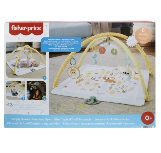 FISHER PRICE SALTELUTA DE ACTIVITATI, MTHRB15