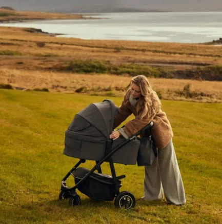 Carucior 2/1 Lionelo Amber Plus Green Forest Carucior 2/1 Lionelo Amber Plus Green Forest