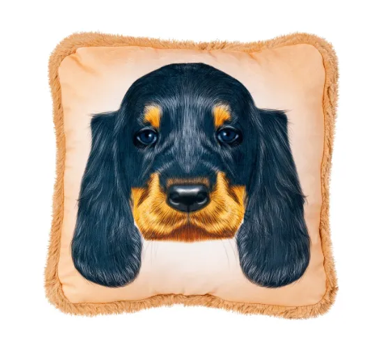 Perna Cocker Spaniol ST-321