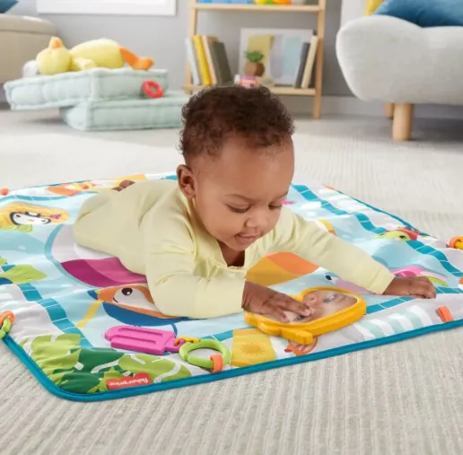 FISHER PRICE COVORAS CU ACTIVITATI, MTGRR44 FISHER PRICE COVORAS CU ACTIVITATI, MTGRR44