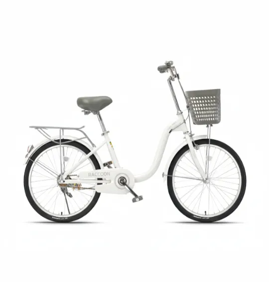 Bicicletă pentru copii cu 2 roți, 22 inch, albă, cod 2219D